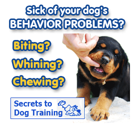 Secrets to Dog Training - The Dog Obedience Training By Dan Stevens Reviews! Stop Dog Behavior Problems