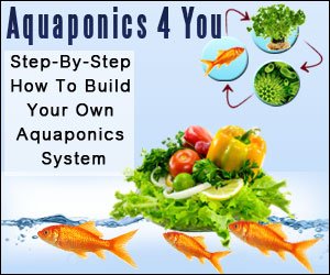 aqua - How To Build Your Own Aquaponics System! Aquaponics 4 You Reviews