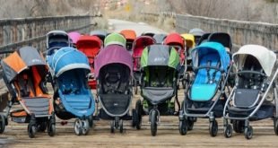 best strollers 310x165 - The Best Strollers Reviews