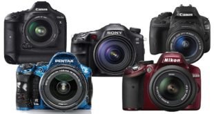 best dslr camera 310x165 - The Best DSLR Camera For Beginners Reviews