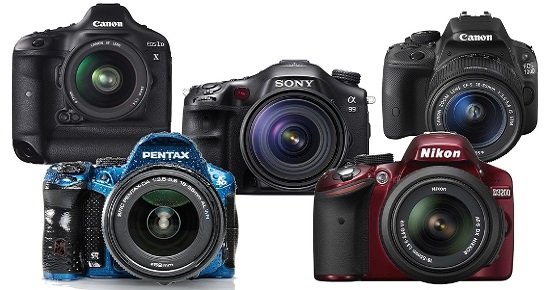 The Best DSLR Camera For Beginners Reviews
